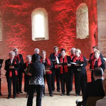 Eröffnungsveranstaltung des "KUSS" 2017 - Foto: Manfred Giebenhain, Odenwälder Echo